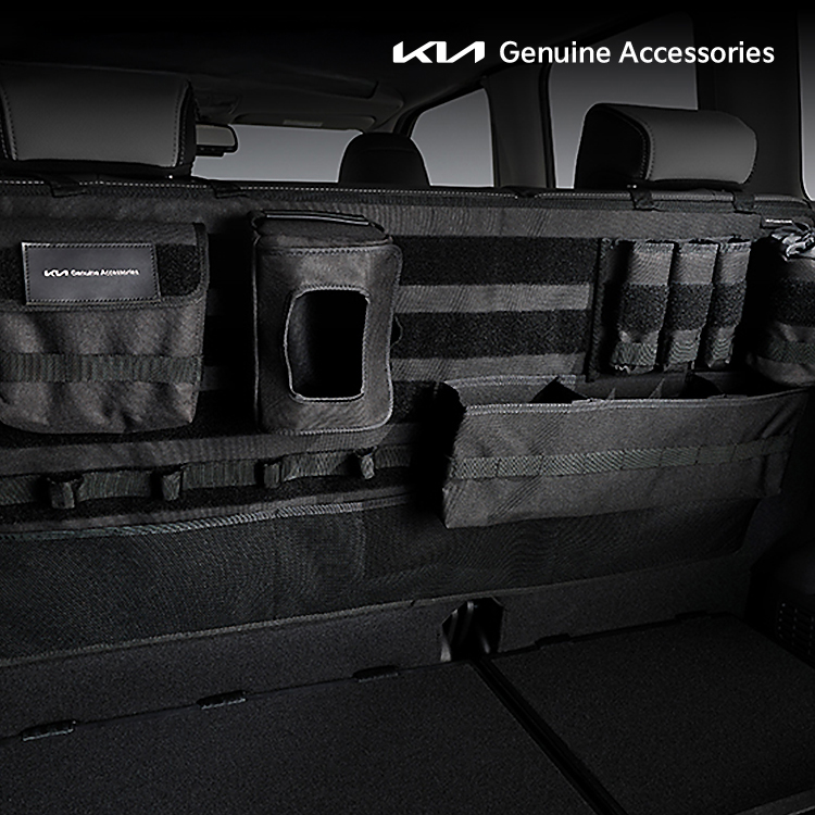 시트백 오거나이저(뒷좌석), 레이